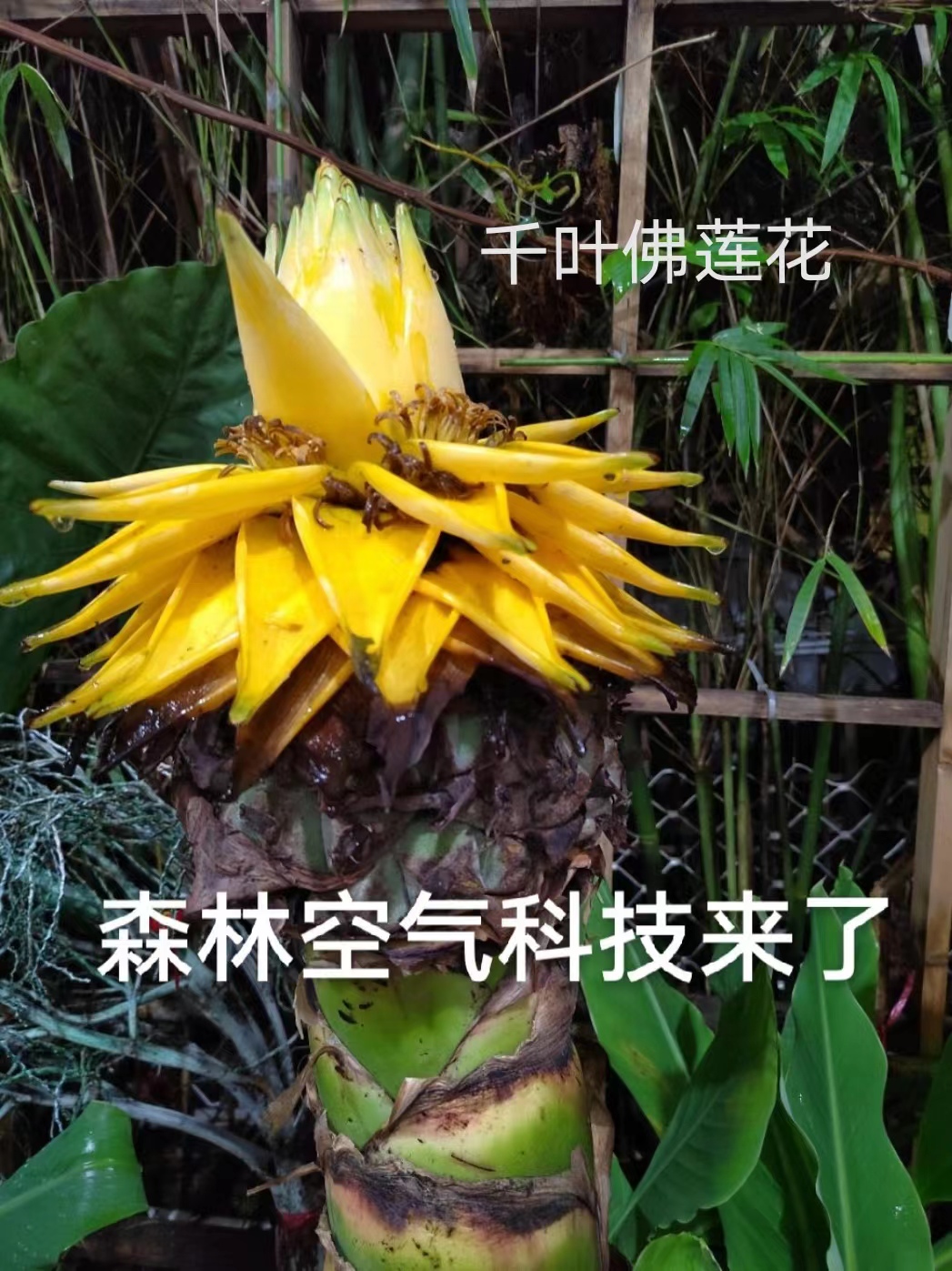 微信图片_20220623175649.jpg